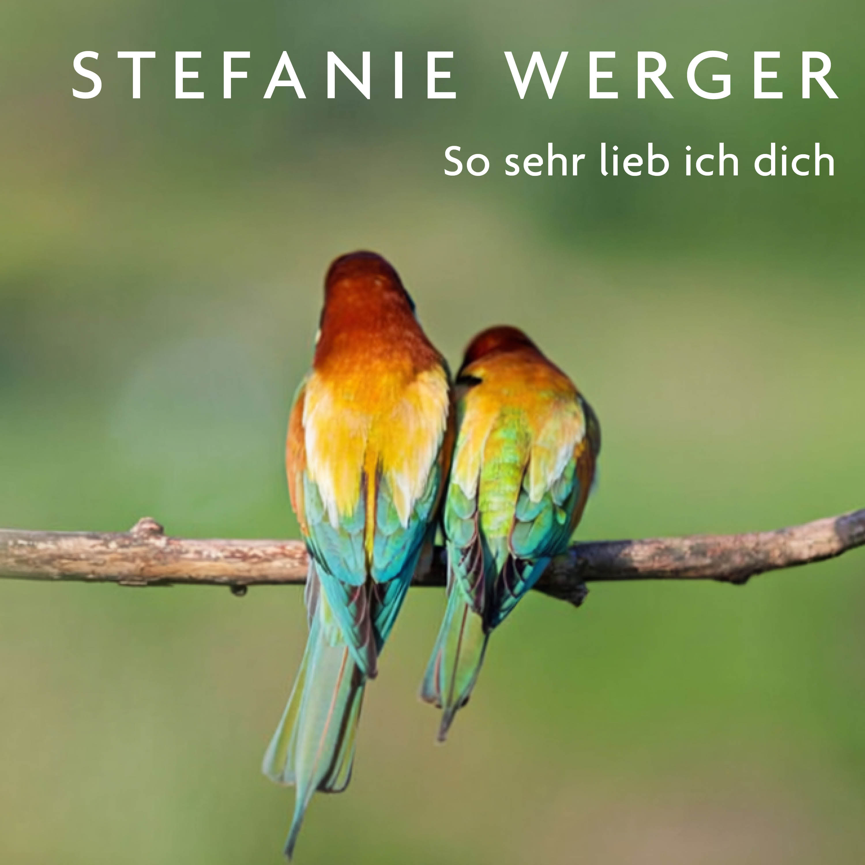 werger cover26 1200x1200px 1cff3f0f